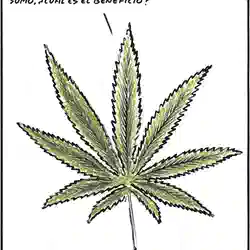 Viñeta El Roto 20/11/2010