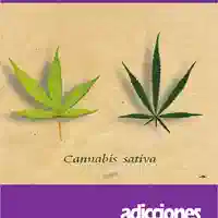Julio Bobes y Amador Calafat — Monografía cannabis