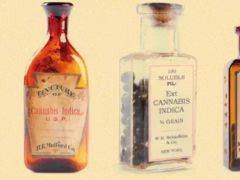 Cannabis y derivados