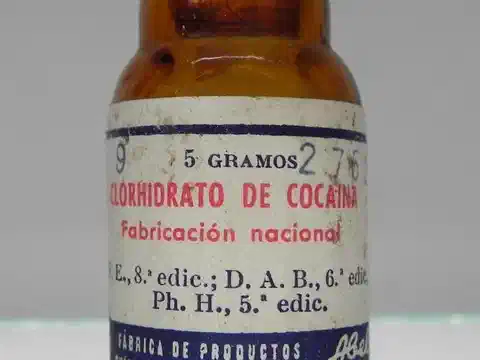 Coca y cocaína (españolas)