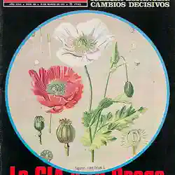 Portada de la revista «Triunfo»