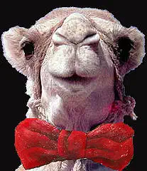 camello_con_pajarita