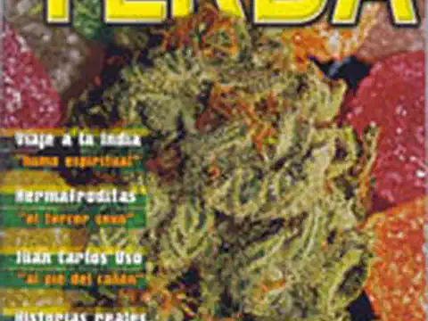 ‘Yerba’: Un hombre con recursos